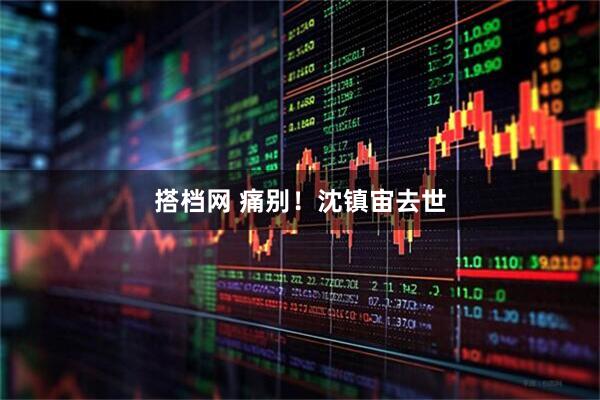 搭档网 痛别！沈镇宙去世