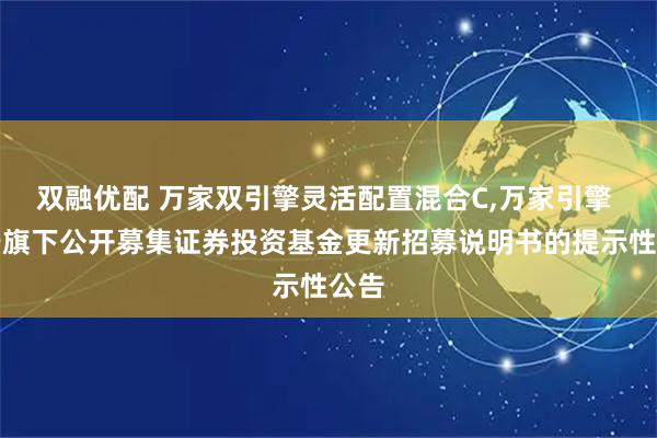 双融优配 万家双引擎灵活配置混合C,万家引擎 关于旗下公开募集证券投资基金更新招募说明书的提示性公告