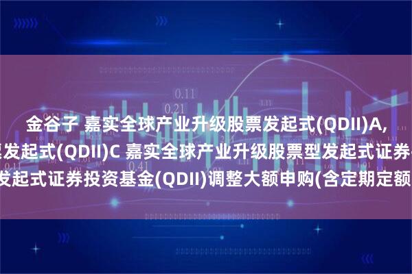 金谷子 嘉实全球产业升级股票发起式(QDII)A,嘉实全球产业升级股票发起式(QDII)C 嘉实全球产业升级股票型发起式证券投资基金(QDII)调整大额申购(含定期定额投资)业务的公告